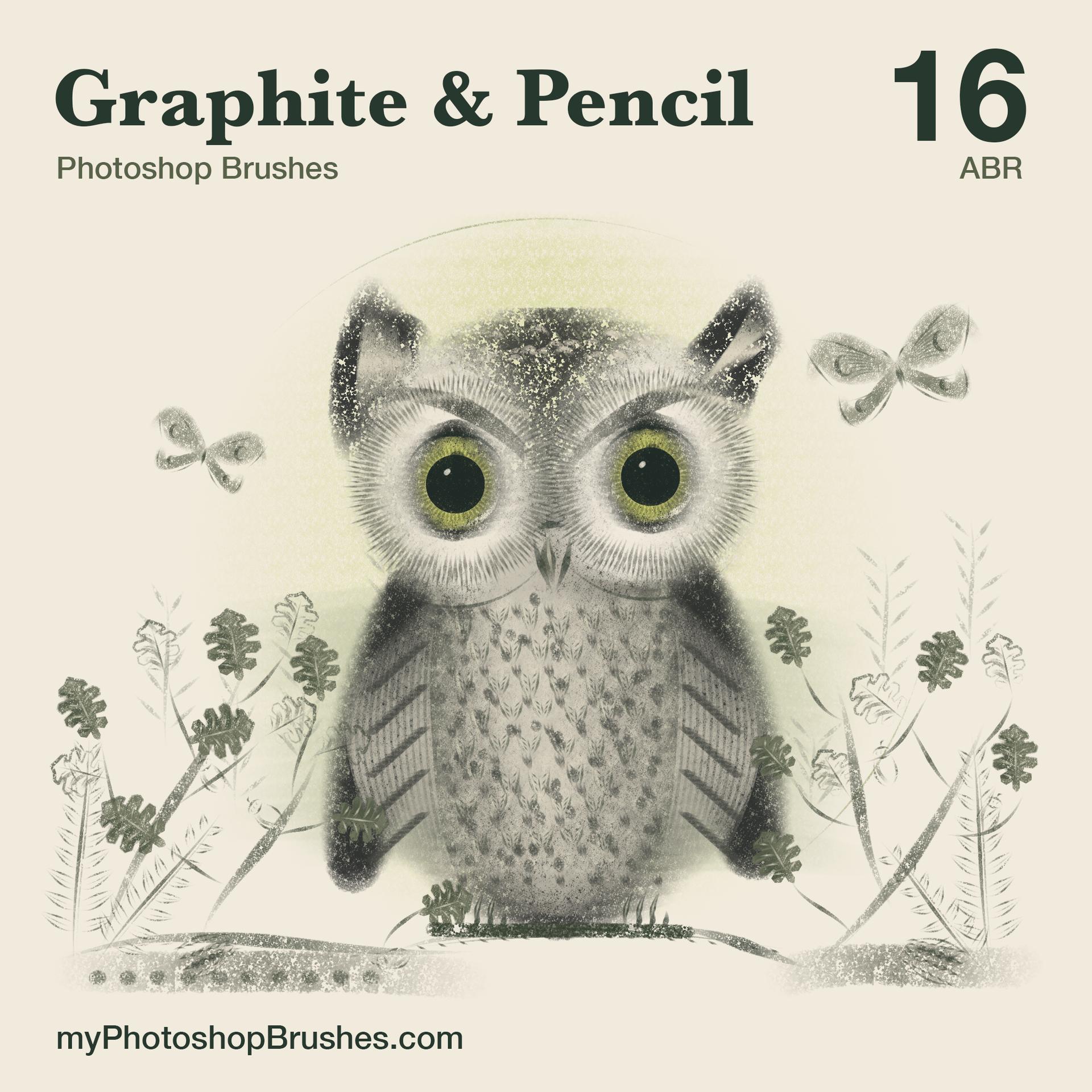 A graphite owl with round citron eyes sits among shaded oak leaves, ferns, moths and woodland details on ivory, beneath bold Graphite & Pencil lettering and a large 16.