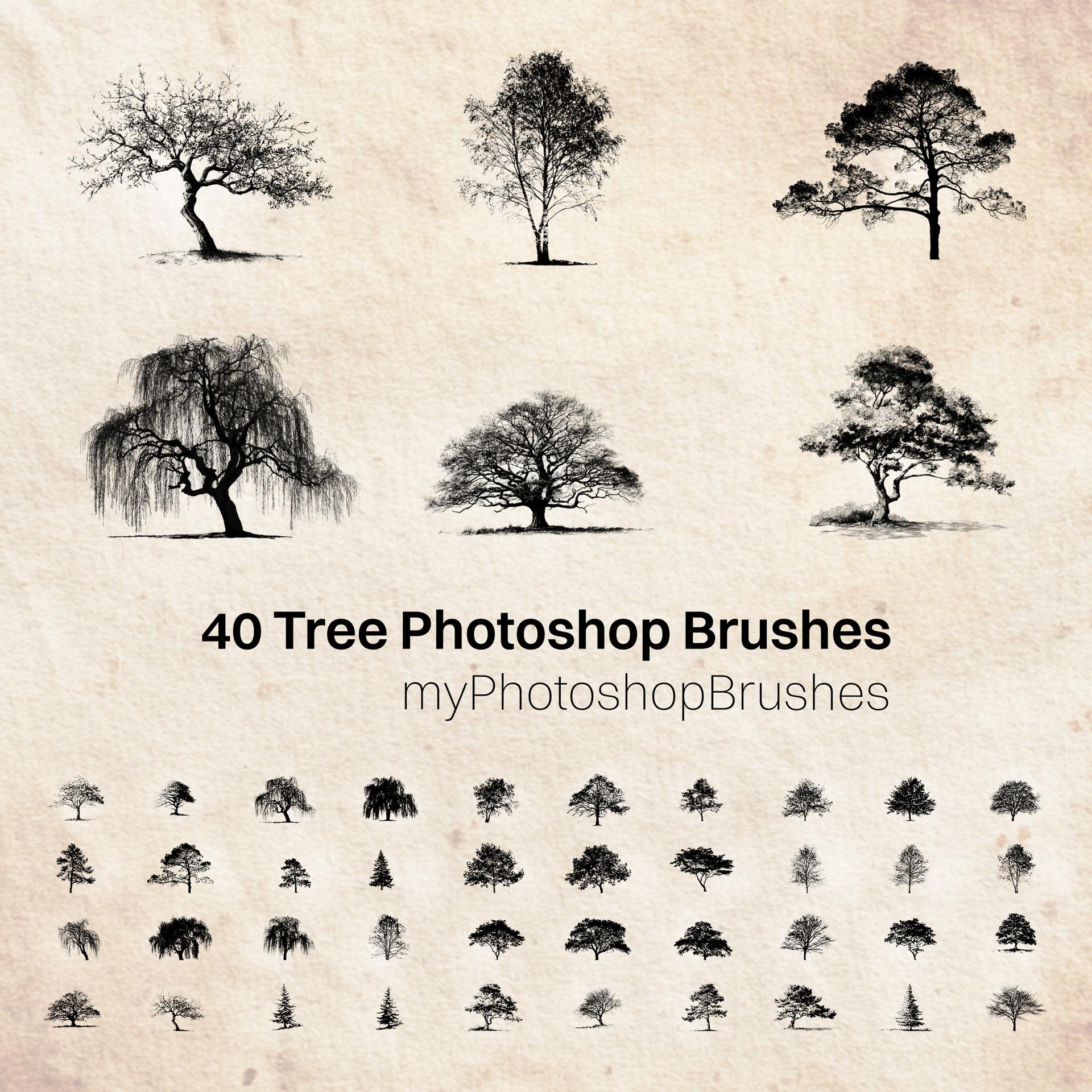 40 Tree Photoshop Brushes