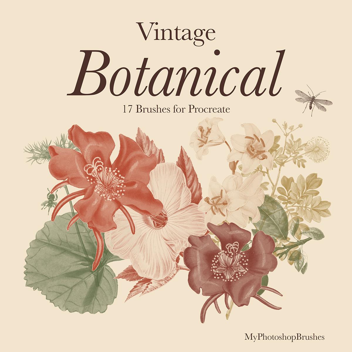Vintage Botanical cover with layered red flowers, olive leaves and ochre botanical stamps on cream, labeled 17 Brushes for Procreate.