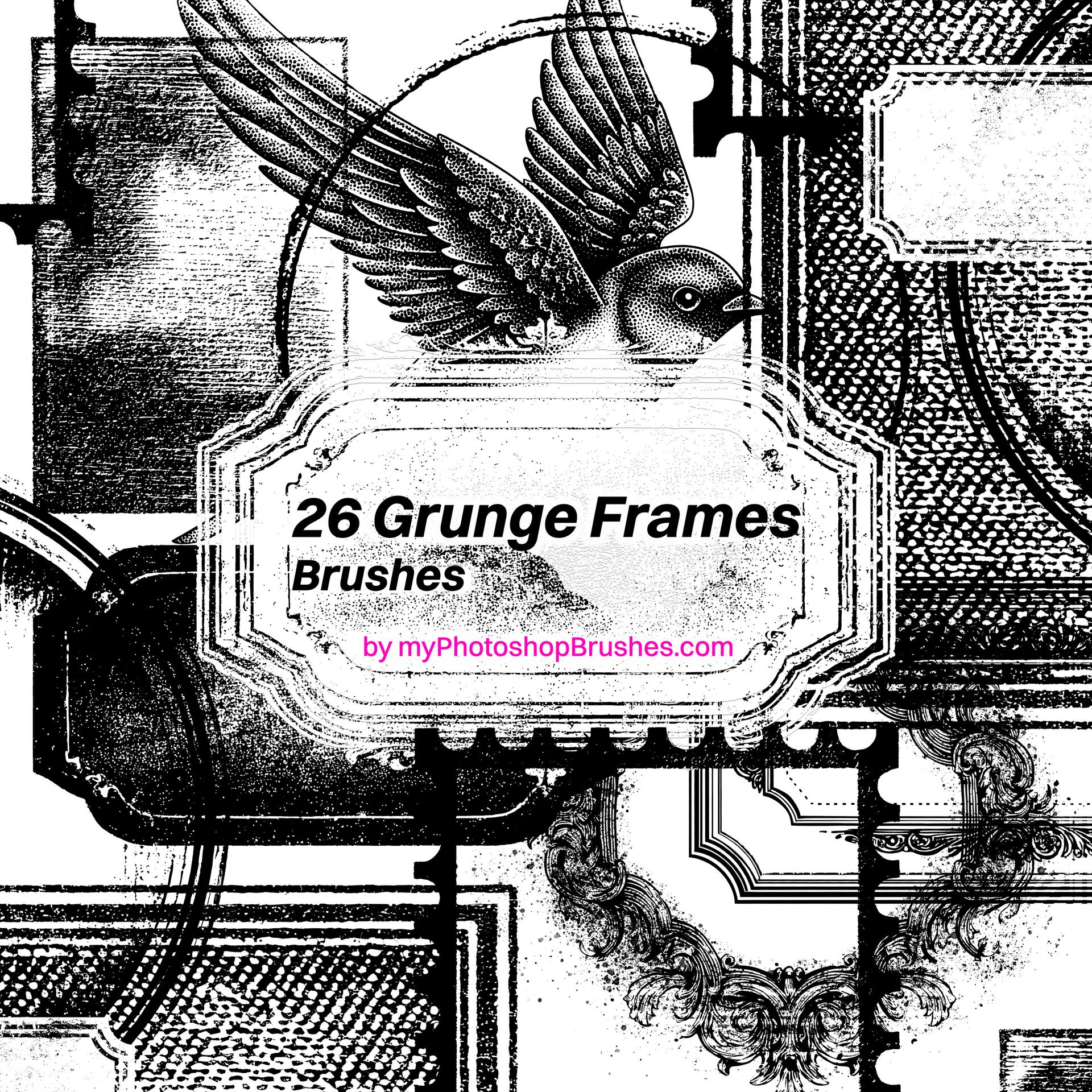 Grunge Frame Brushes