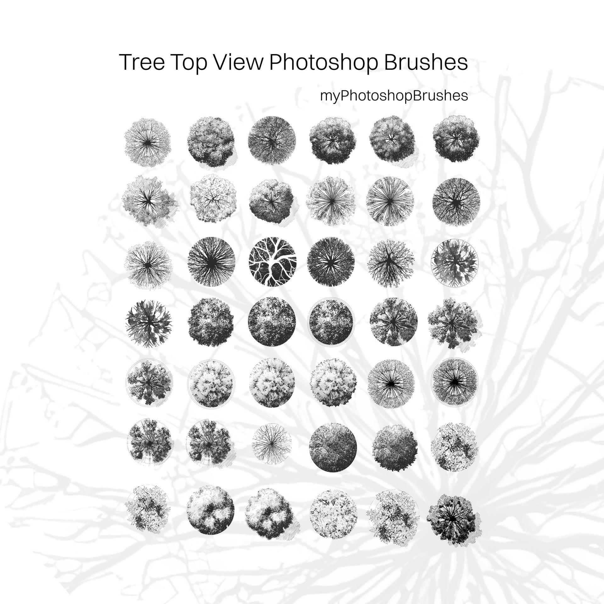 Tree Top View Photoshop Brushes