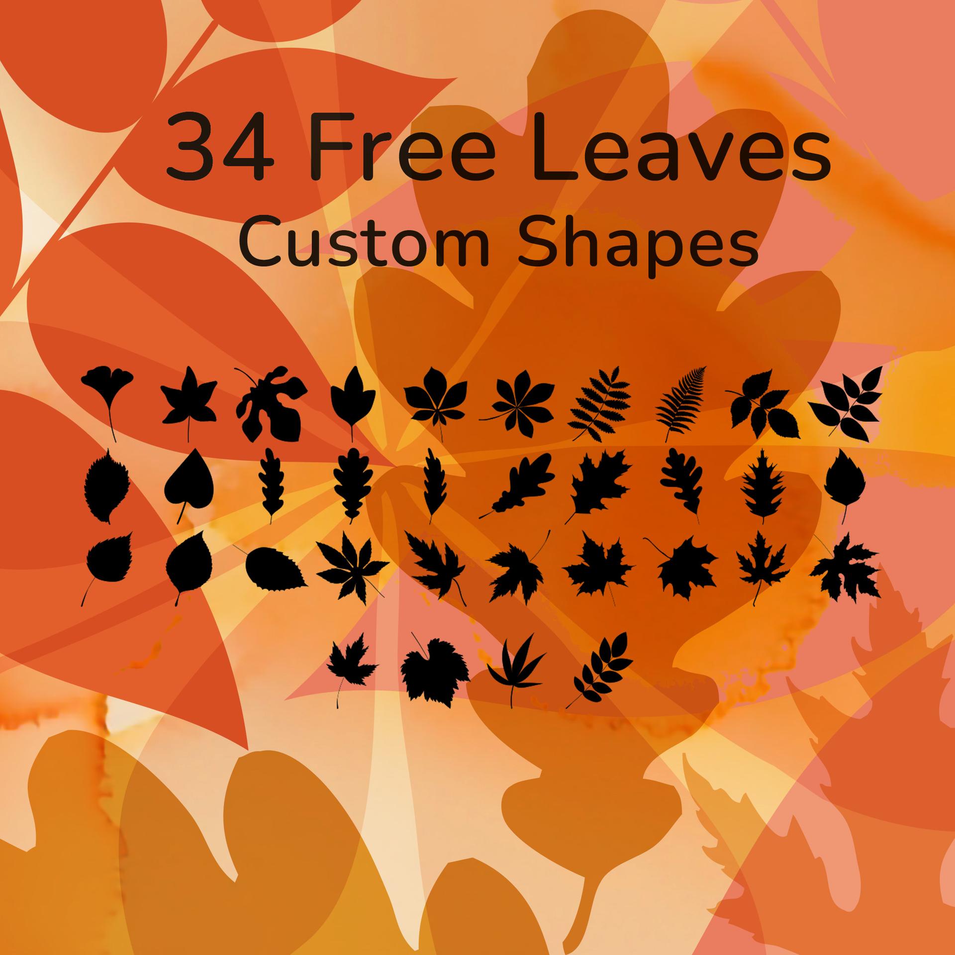 Leaf Custom Shapes - Photoshop custom shape preview